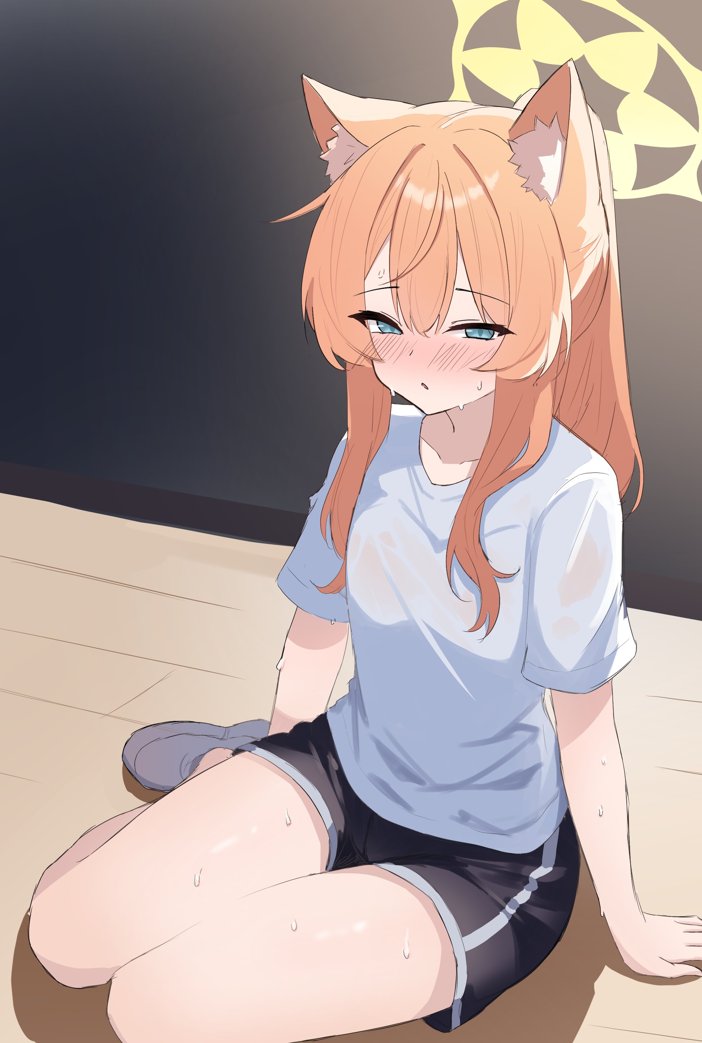 2304x3425