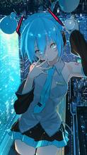 850x1521