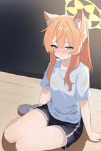 2304x3425