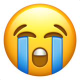 160x160