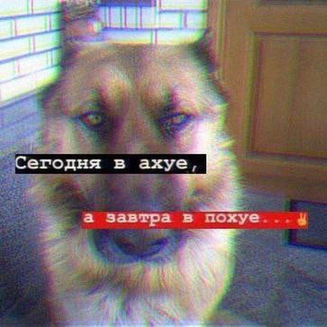 640x640