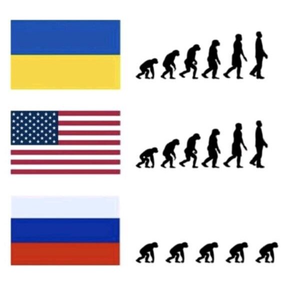 576x566