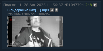 405x201