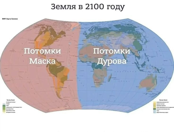 736x558