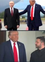 364x500