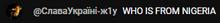 287x31