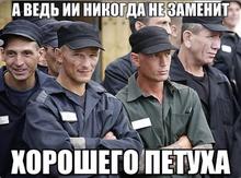 746x554
