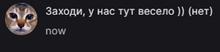 300x71