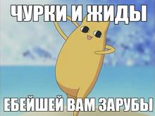 626x469