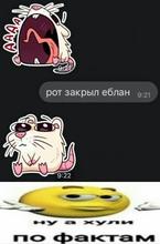 634x962
