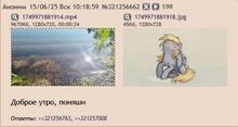 499x267