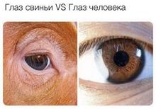540x379