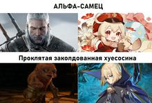 1431x978