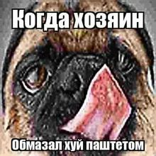 510x510